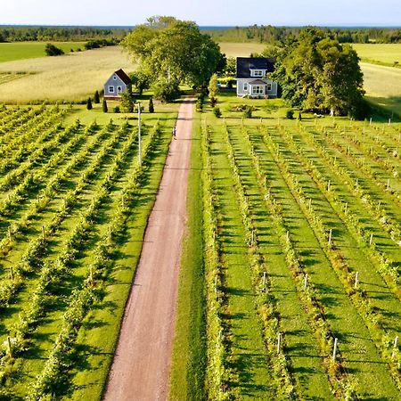 Sunbury Cove Winery Bed and Breakfast Miscouche Eksteriør billede